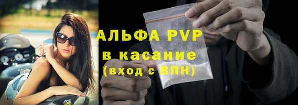 прущие грибы Володарск