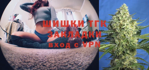 прущие грибы Володарск