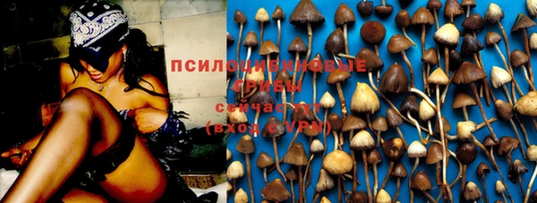 прущие грибы Володарск